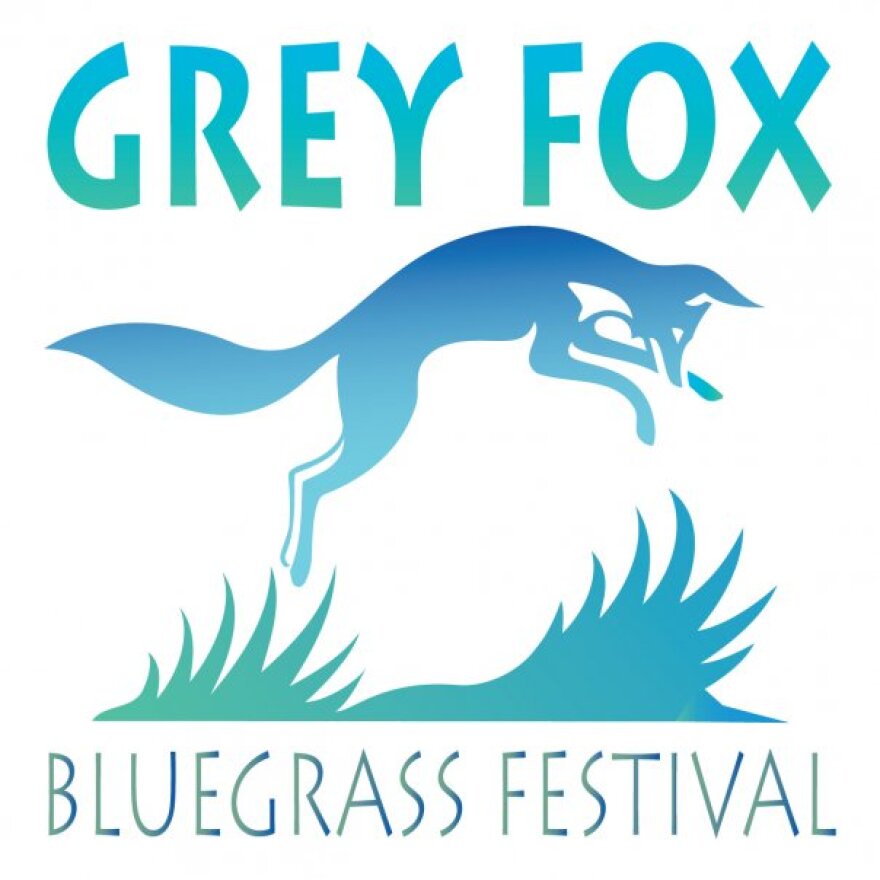 Grey Fox