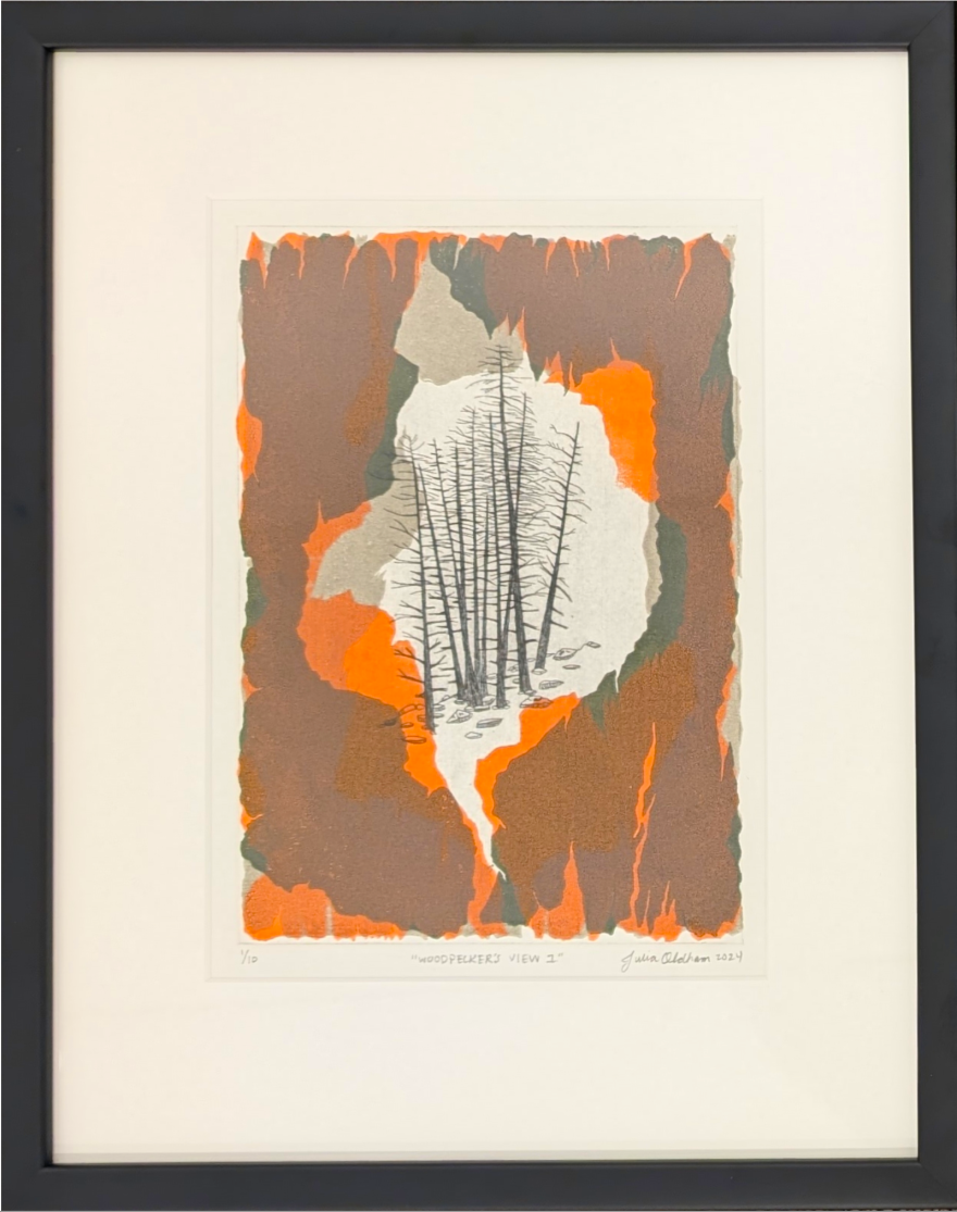 Julia Oldham, "Woodpecker's View." Intaglio and Relief. Showing at MKAC, "Beyond the Print."