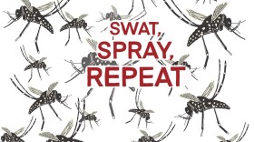 An image showing many dark-bodied mosquitoes with white spots all around a white background. On top of them are these words in red: "Swat, Spray, Repeat."