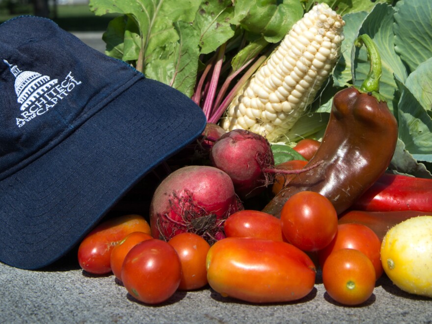 Some of the traditional vegetables grown at the commemorative war garden at the Library of Congress.