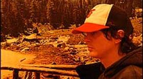 Panda Bear, a.k.a. Noah Lennox, stitches music together so that the seams show.