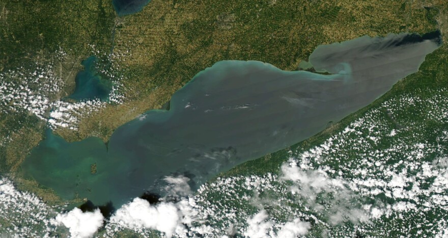 Satellite image of Lake Erie from July 3, 2018  