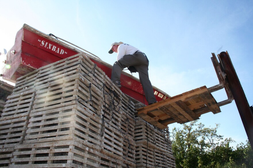 Mosquito control inspector Billy Ryan climbs atop a stack of lobster traps on Stock Island, near Key West, to check a boat for water — and for mosquito larvae.