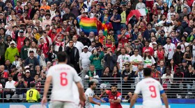 A spectator displays a rainbow Pride flag during a World Cup soccer game.