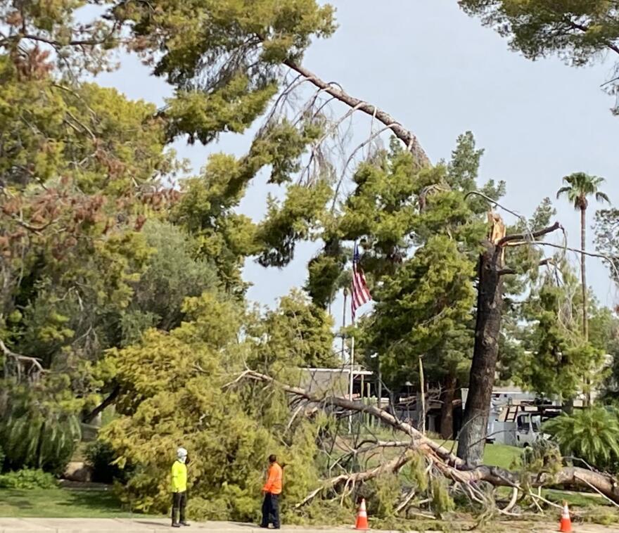 Storm damage