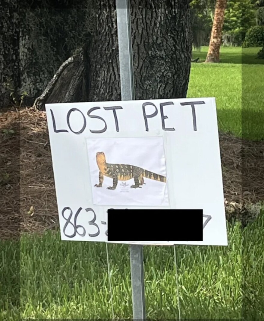 Sign showing lost lizard 