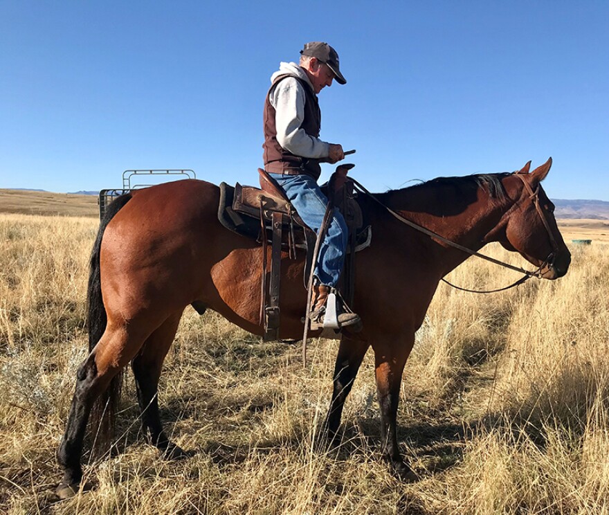 Randall Shinn organizes a roundup by cell phone from horseback at Seacross Ranch in Lodge Grass