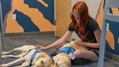 A dog sits on the floor with a student.