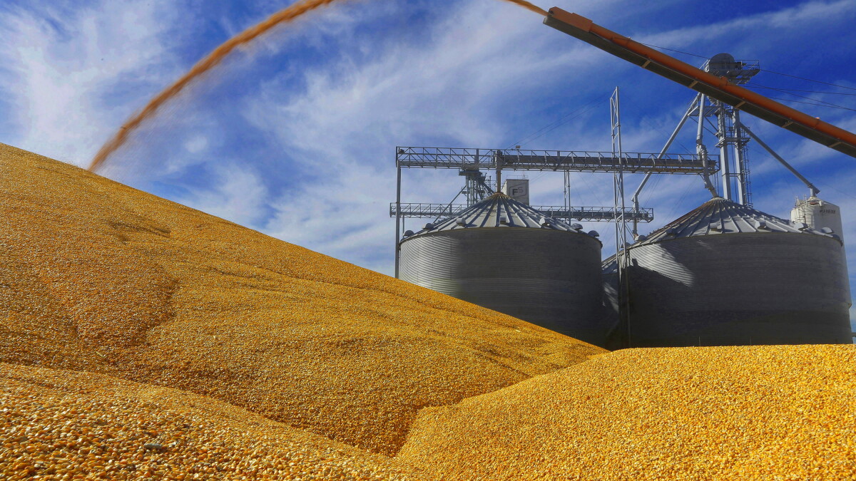 Corn (and soybean) king: McLean County farmers led state, nation in 2022 production - Vimarsana News