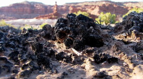 textured, black soil crust in the foreground with red and brown rock formations out of focus in the background