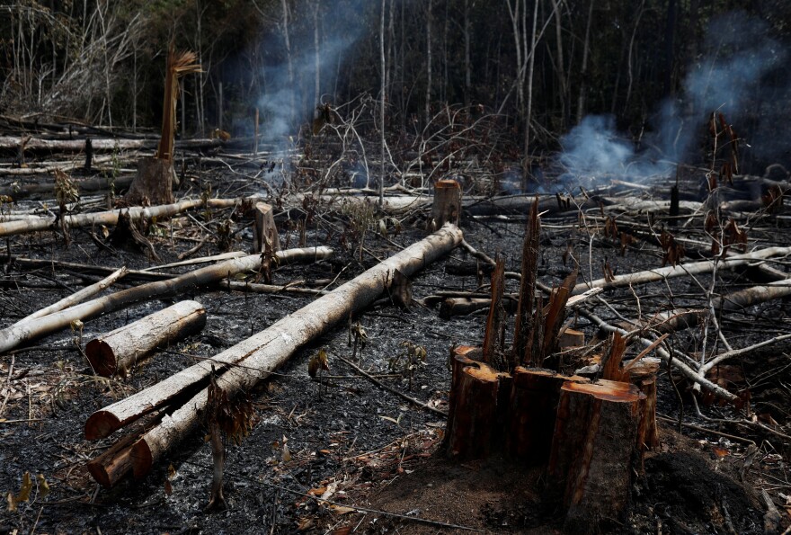 A tract of Amazon jungle being cleared by loggers and farmers burns in Novo Airao, Brazil, on Wednesday.