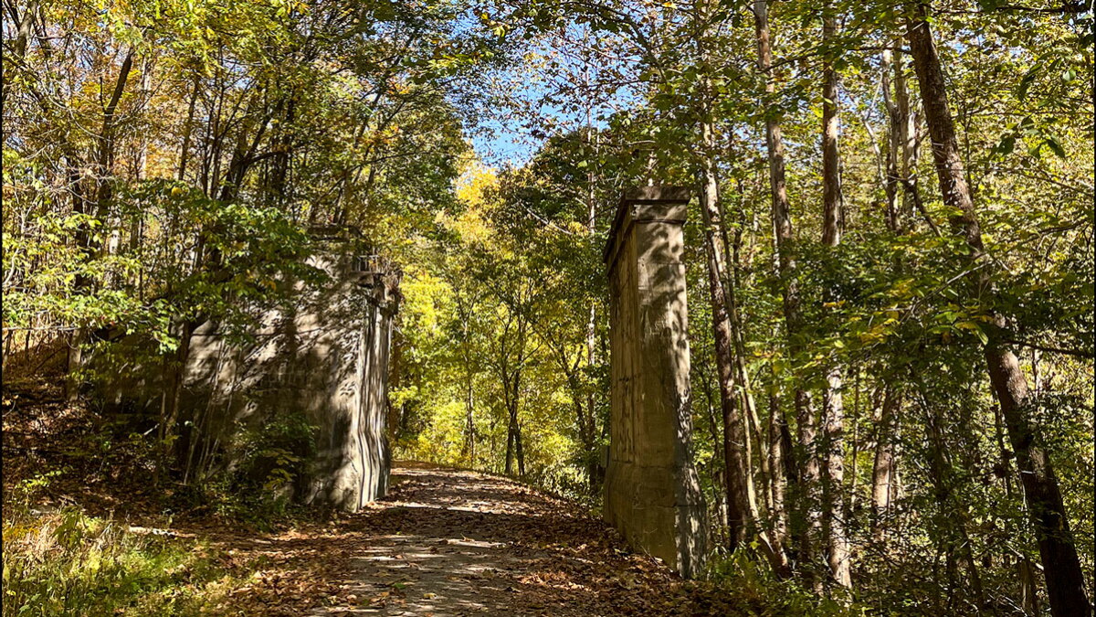 Authors of book about Johnson County's natural beauty win SIU's Friends of Morris Library Delta Award - Vimarsana News