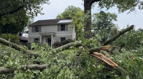 Fallen tree limbs and down power lines lay in the backyard of Bexley resident Gina Hinterschied.
