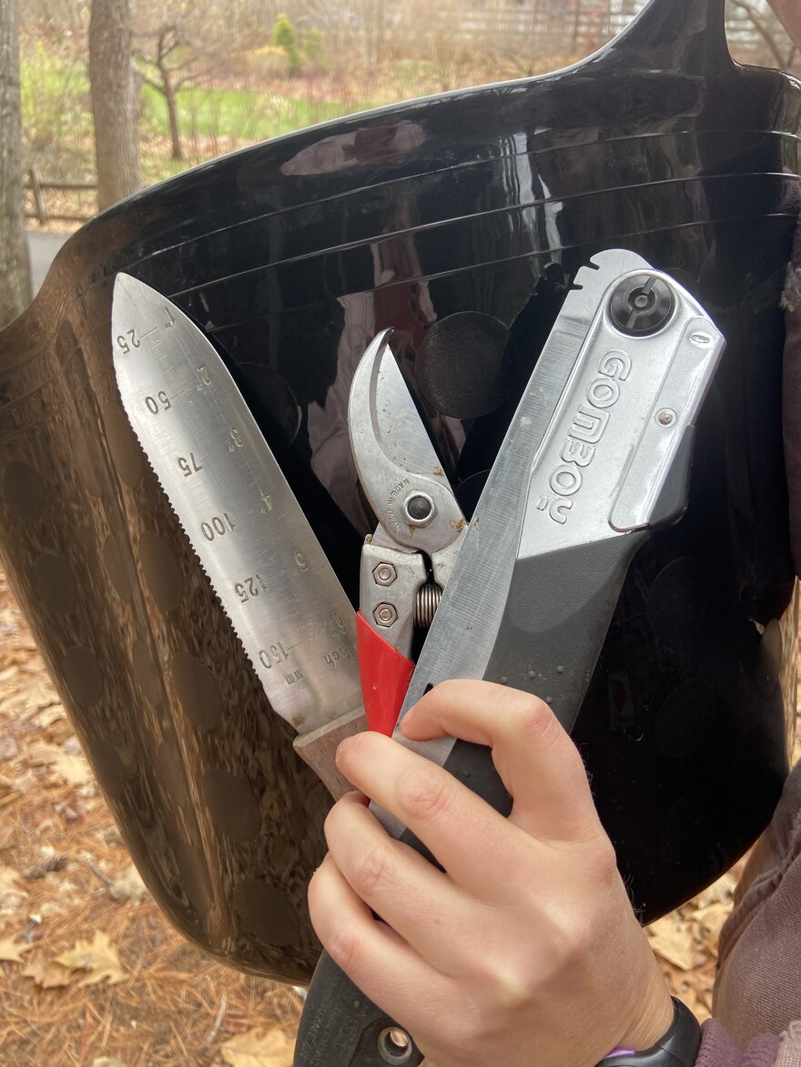 A set of gardening tools.