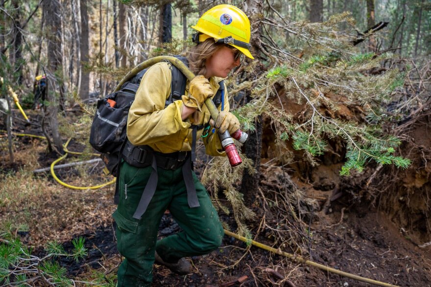 An image of a firefighter carrying a fire hose through the forest