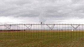 A plume of smoke rises in the distance. In the foreground, a hawk sits on a massive piece of irrigation equipment in a field.