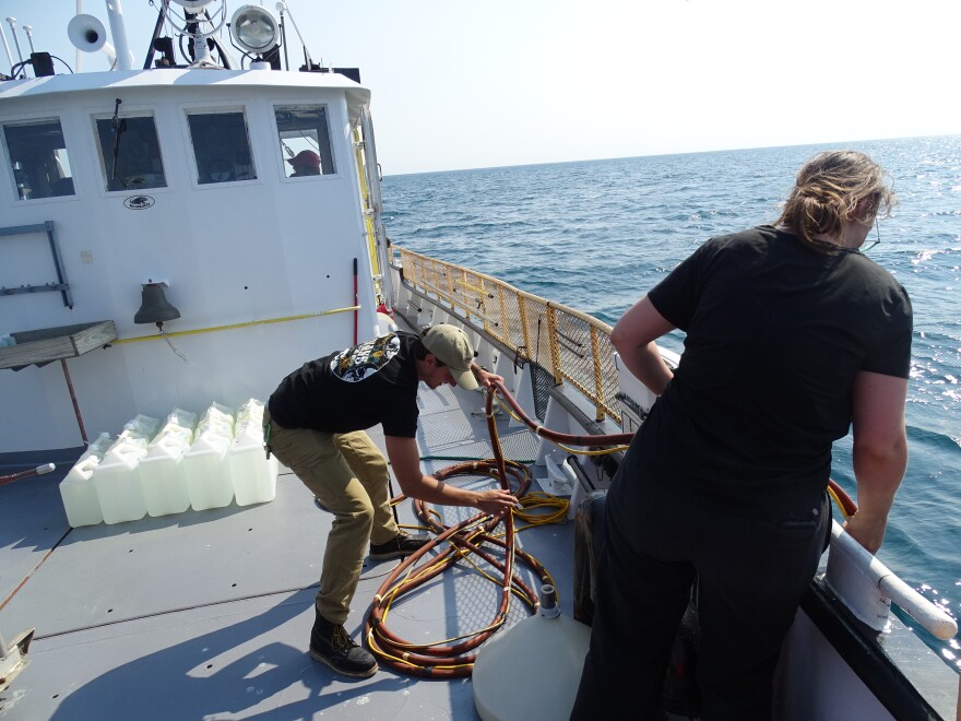 Over the summer grad student Gage Hunter (center) and Rachel Smith gathered water sample from the same location on Lake Michigan. Then they headed back to Jim Waples School of Freshwater Sciences for hours of processing.