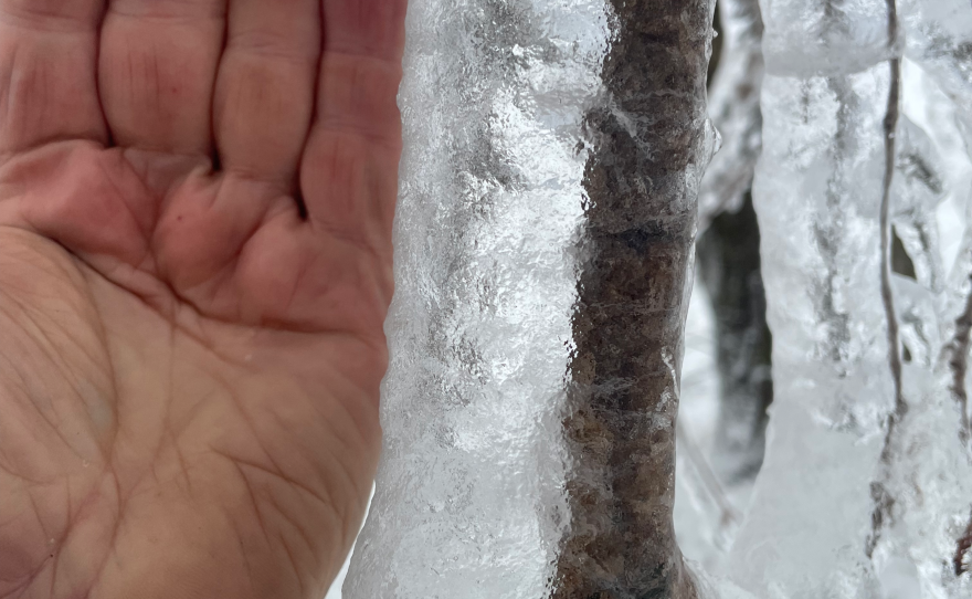 The National Weather Service declares an ice storm warning at 0.25" of accumulation. By those standards, this accumulation is massive — and gives a good idea of the astonishing weight added to trees and power lines.