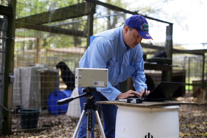 Karl Zawoy, the cheif technology investigator at TruVitals, prepares the vital signs monitor for testing wild cats at an animal sanctuary in Florida on March 20, 2014. For reasons pertaining to the contract, the name and location of the sanctuary cannot be named.