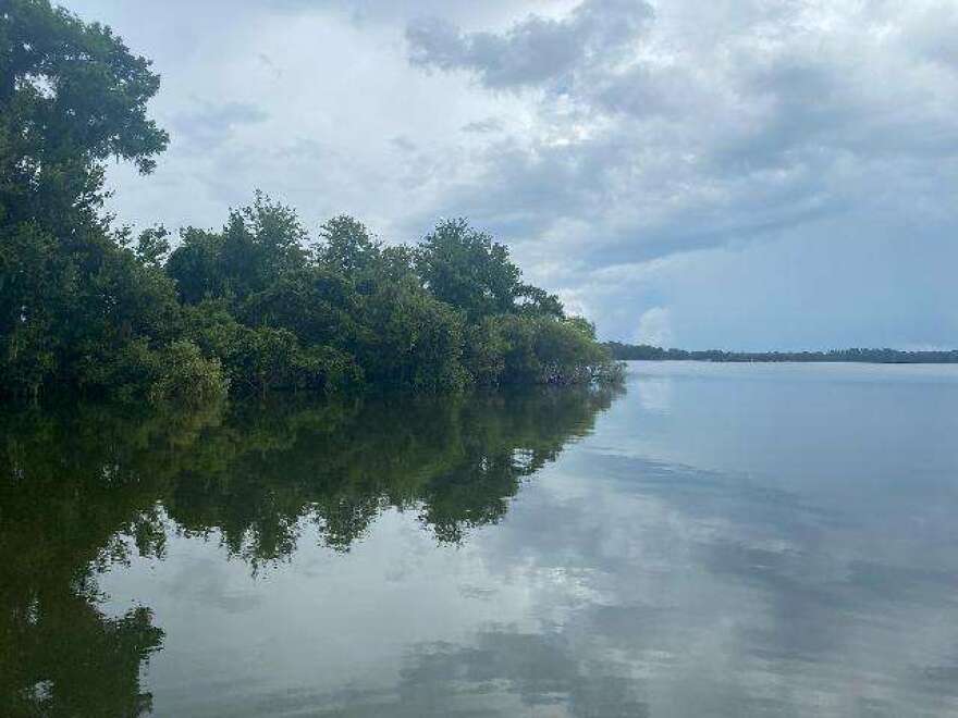 A health alert has been issued after toxins from blue-green algae were found near the western shore of Lake Howell. Photo: Florida DEP