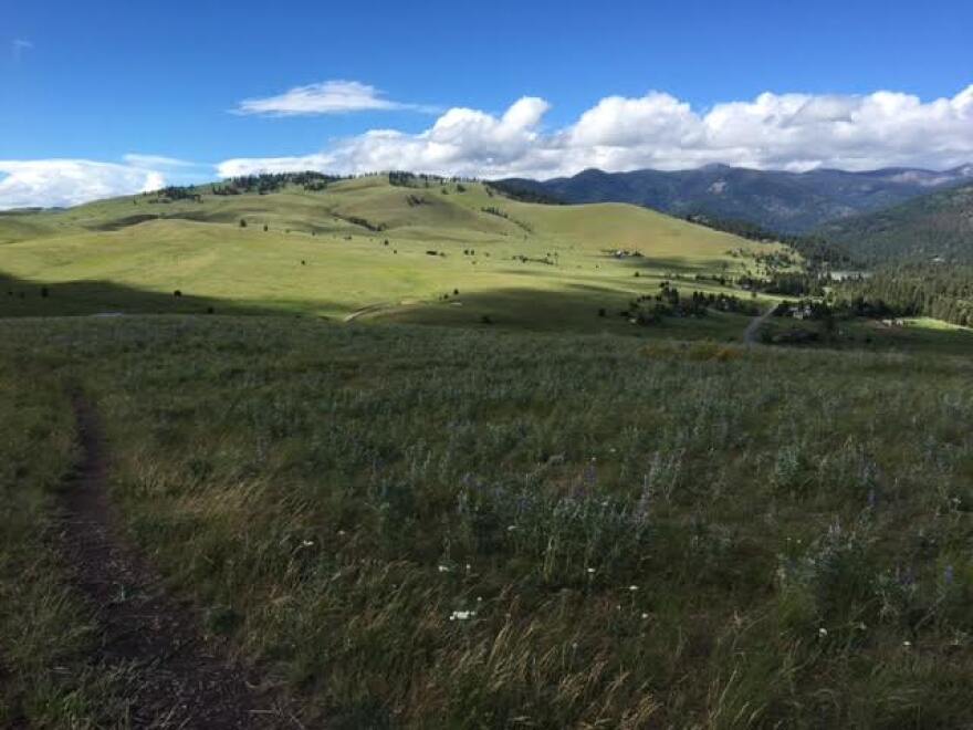 Open Space maintained by the City of Missoula in the North Hills.