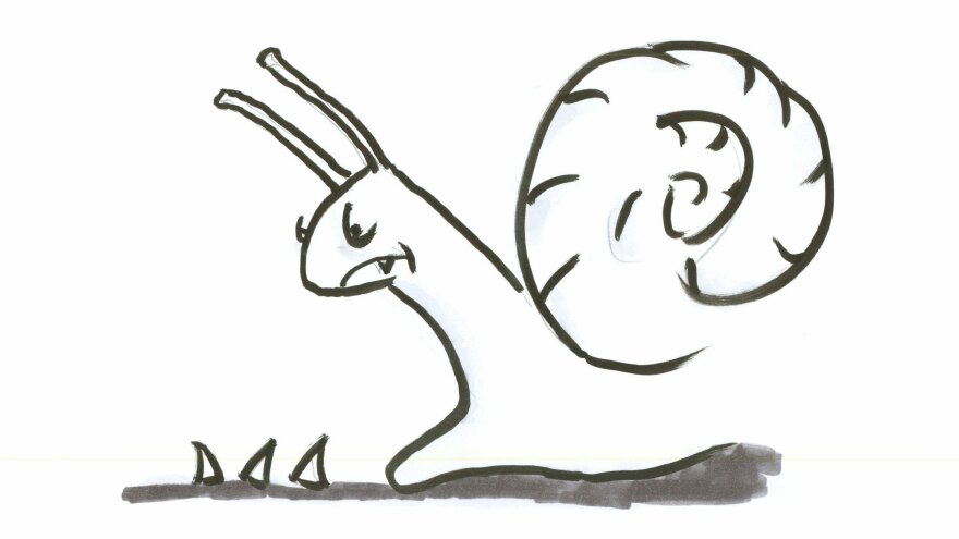 Snail 4