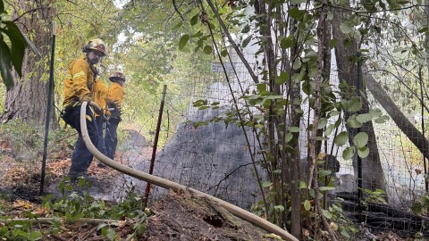 Eugene Springfield Fire says a car that started in compost spread to nearby trees