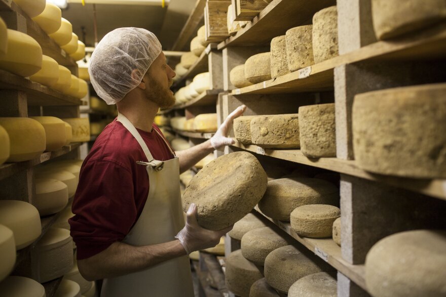 FILE: Cheese maker Mark Gillman checks the readiness of aged cheese at the Cato Corner Farm in Colchester, Connecticut. The Cato Corner Farm makes artisanal cheese that is sold to restaurants and at farmer's markets in the New York City area.