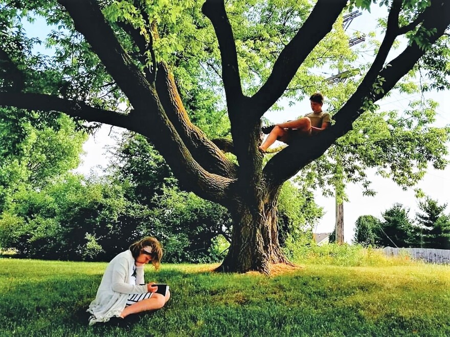 kids reading. one sitting in the grass and the other sitting in a tree