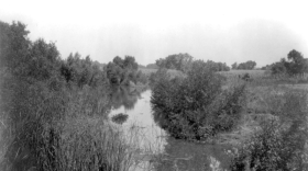The Panama Slough south of Bakersfield, circa 1890.