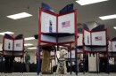 a white dog stands at a woman's feet, her body hidden by a voting booth divider 