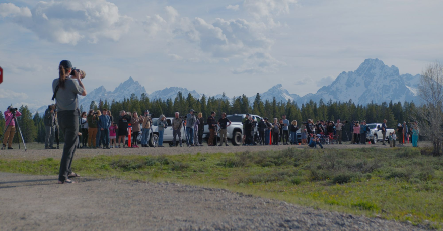A line of people with cameras along a dirt road near a thickly forested area with tall, snowy mountains in the background. One photographer is standing closer to the foreground, seemingly taking photos of the photographers.