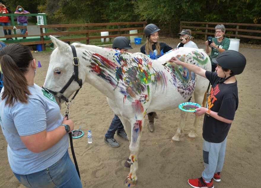 Clients at Northland Therapeutic Riding Center brush and hand paint with tempura colors onto Molly, a 29-year-old Pony of the Americas as part of their equine therapy.