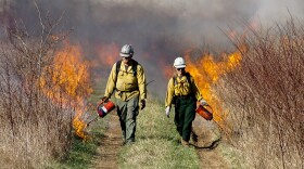 Firefighters conduct a prescribed burn on Monday, March 11, 2024, at Mark Twain National Forest in Rolla, Mo.