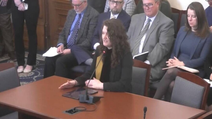 Desi Rybolt with the Indiana Conservation Voters expresses concerns about the bill at a Senate Environmental Affairs Committee hearing.