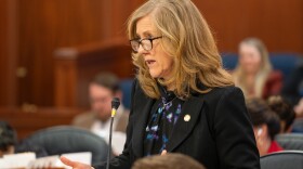 a person speaks in a meeting room