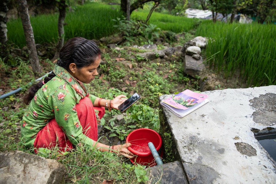 Kiran Joshi places her bucket under flowing water and times the duration with her phone. She stops the timer once the bucket is full and repeats the measurement three times. The results will help determine if efforts to "recharge" a mountain spring have been successful.