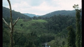 Anthropologists Renato and Shelly Rosaldo lived in the Philippines with the Ilongot, an isolated tribe in the rain forest. They were based here, in a settlement of Kakidugen, from 1967 to 1969 and in 1974.