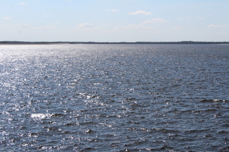 El Embalse Regional C.W. Bill Young en Lithia.