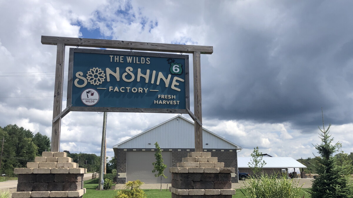 Alcohol made from sunflower seeds?! A tour of a new distillery and educational center in Kane - Vimarsana News