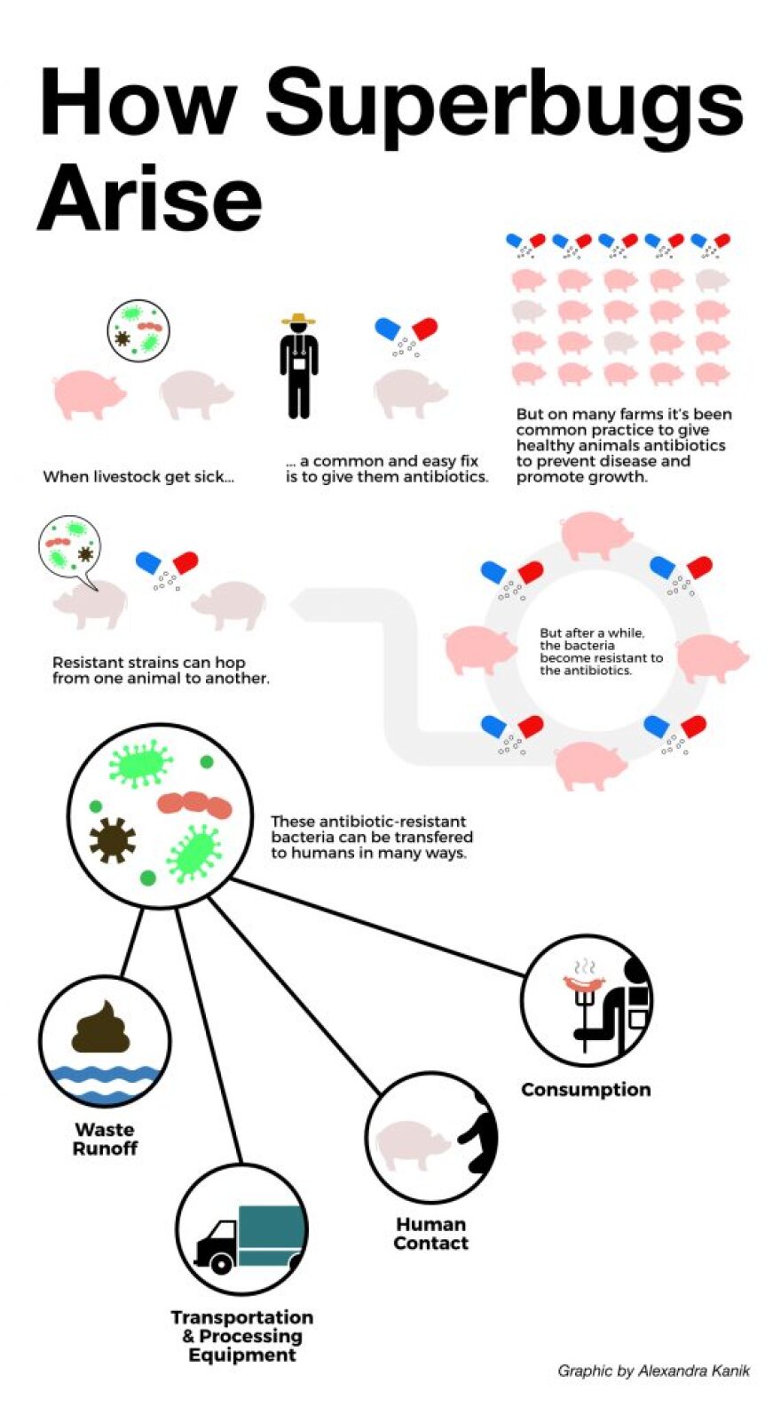 How To Prevent Superbugs How To Prevent Superbugs