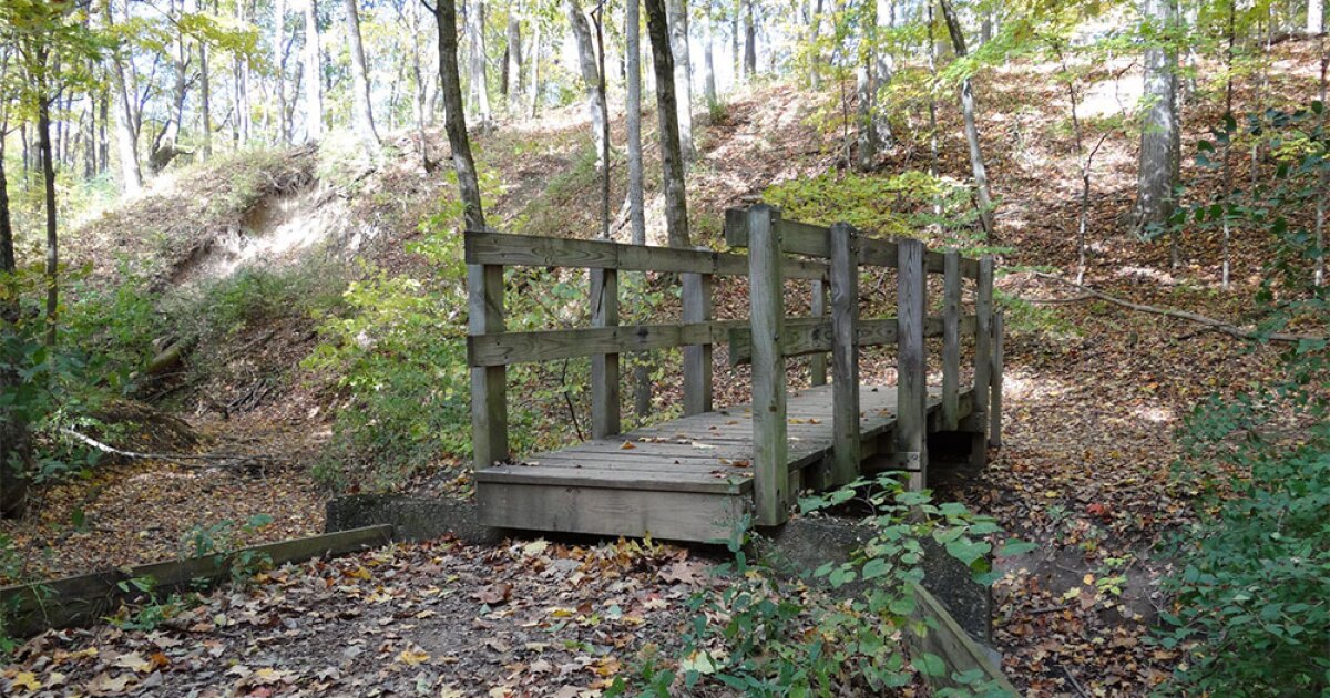 Brewing Locally Image