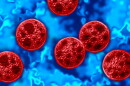 Cyclosporiasis outbreak as a foodborne parasitic illness caused by Cyclospora cayetanensis as an outbreak with contaminated food or water resulting in explosive diarrhea and digestive illness.