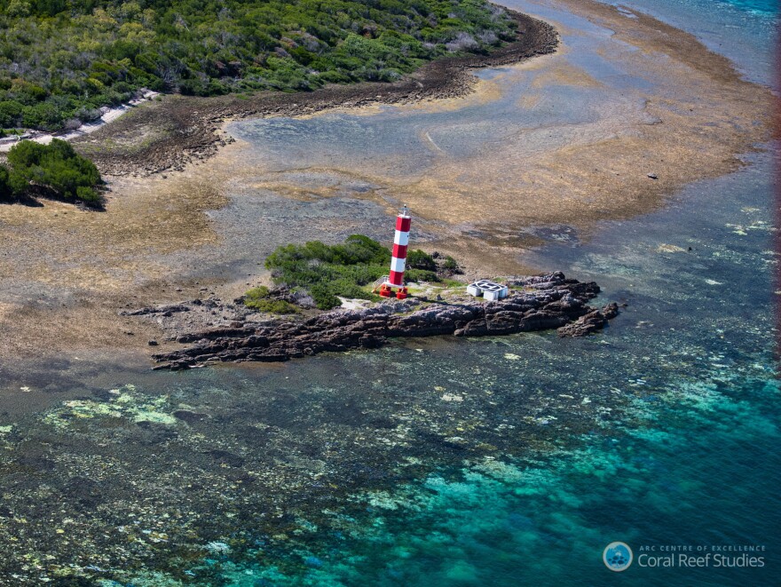 This undated picture of bleached coral (lower right) on part of the Great Barrier Reef, Australia was taken by Prof. Terry Hughes during an aerial survey of the reef.