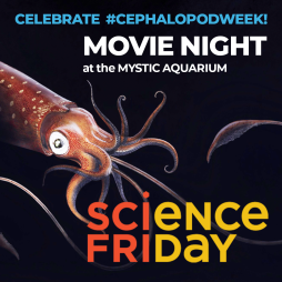 SCIFRI_Event_Graphic_Mystic.png