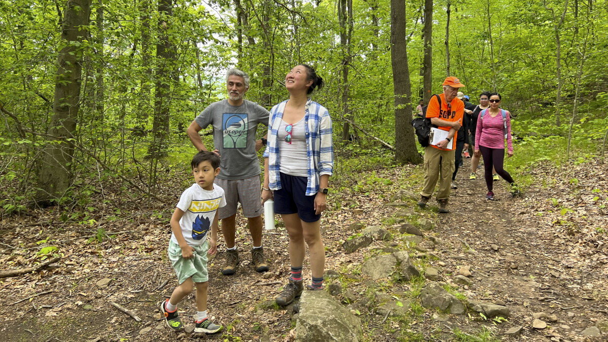 Miles of trail open for exploration at Hamden's Sleeping Giant State Park - Vimarsana News