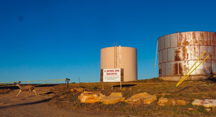 A deer strolls past storage tanks containing the municipal and industrail water supply for Dove Creek, Colodrado on October 27, 2021. Water flowing from McPhee Reservoir 30 miles upstream flows through a canal into the town's 95 acre foot storage reservoic and is pumped form there into these tanks. (Dean Krakel, Special to The Colorado Sun)