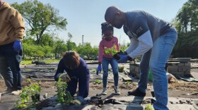 Volunteers in the Stephen Talley Memorial Garden where fresh fruits and vegetables are harvested at Light of the World Christian Church.