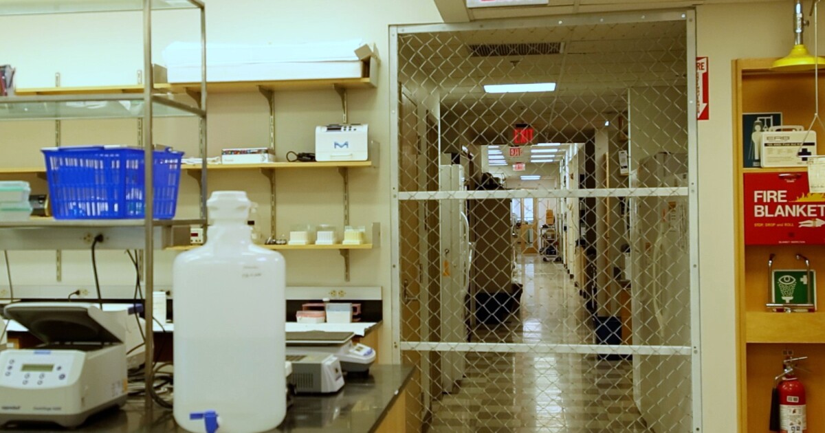 USDA finishes IU investigation, Innes lab reopens