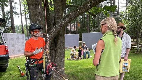 Members of the public learn about the arborist trade from one of the exhibitors at 2024's Forest Fest